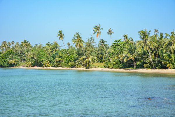 Comment organiser une expédition pour observer les éléphants dans le parc national d'Etosha, Namibie?